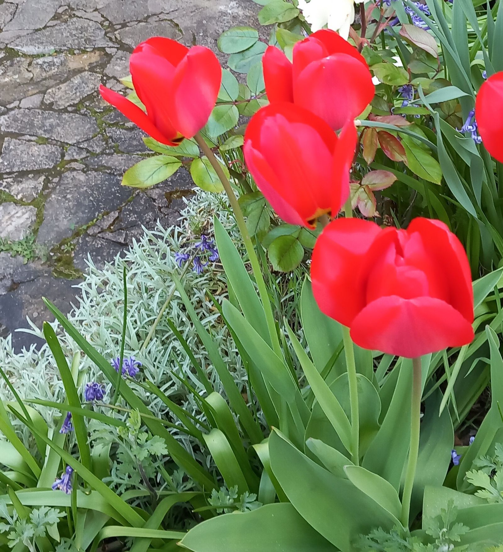 21 de Mayo: Mes de María