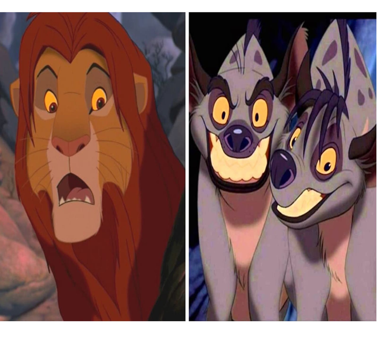 Vance, Trump y León