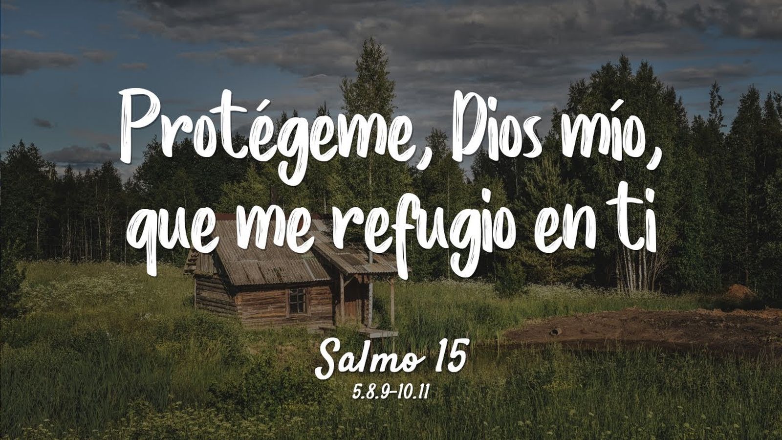 Mesa Salmo 15: por el refugio y la protección de menores