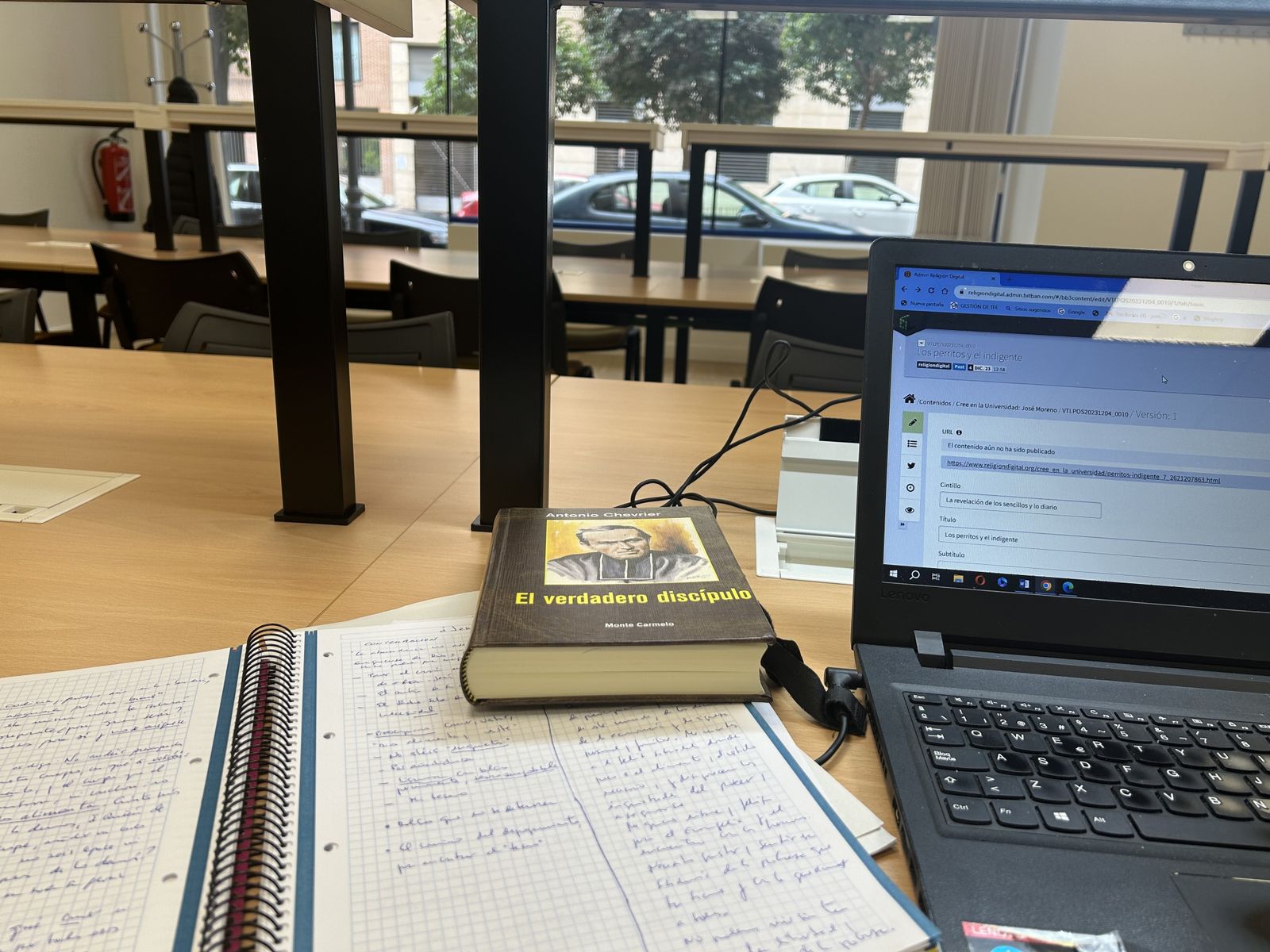 Los perritos y el indigente