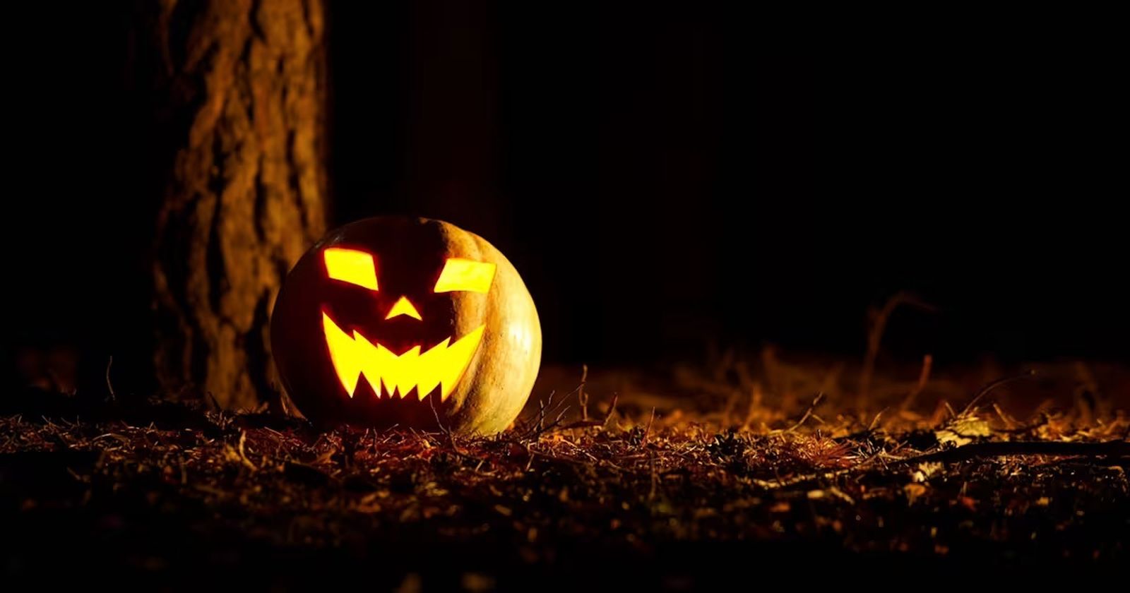 Calabaza de Halloween