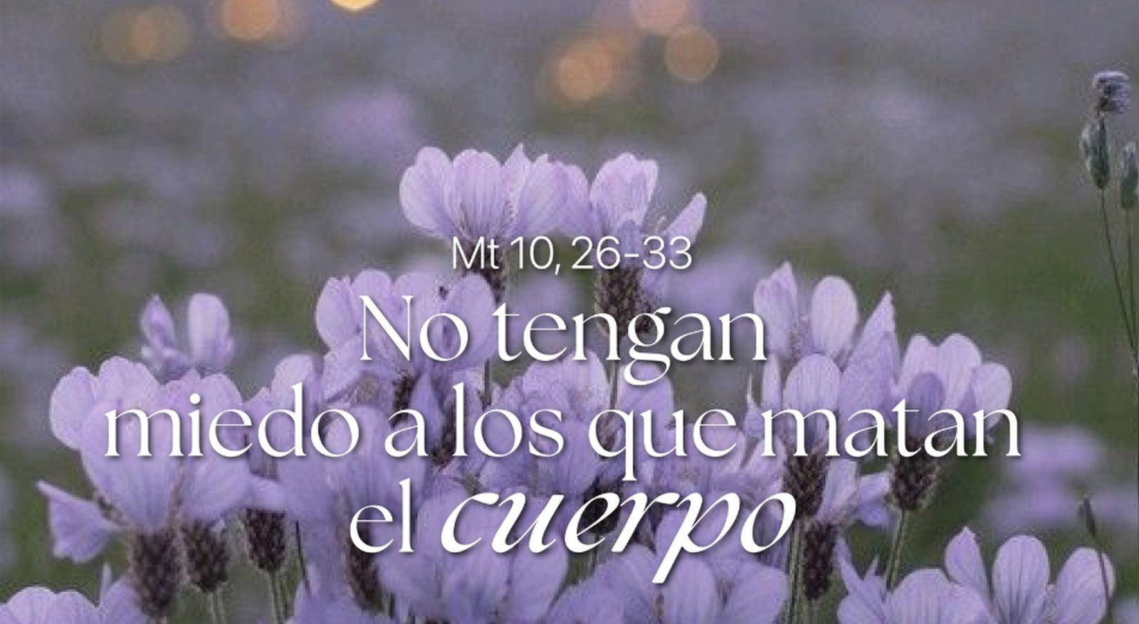 No tengan miedo