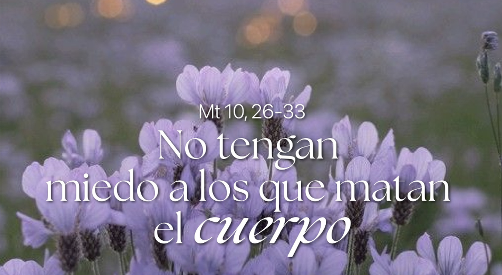 No tengan miedo