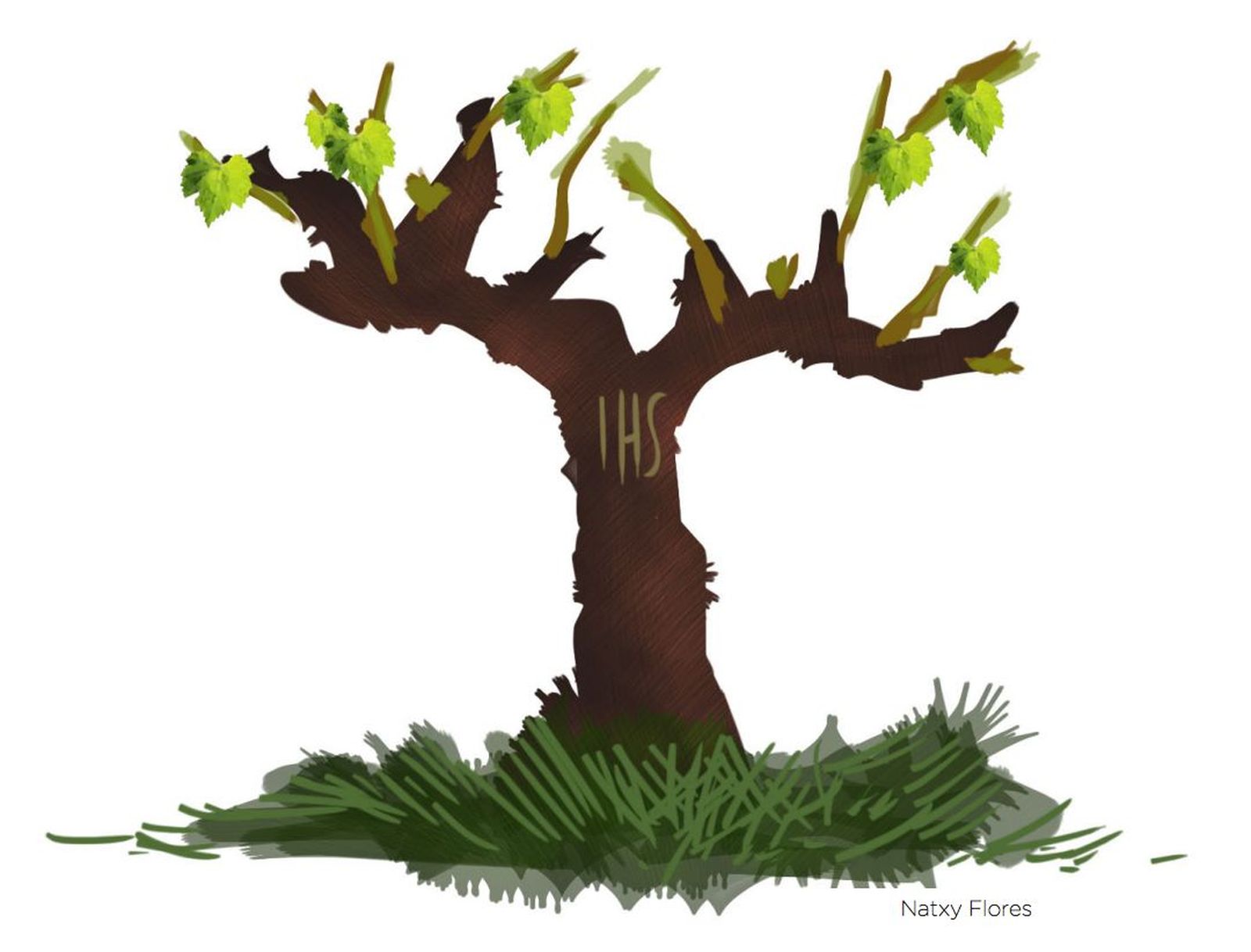 "Yo soy la vid y vosotros los sarmientos"