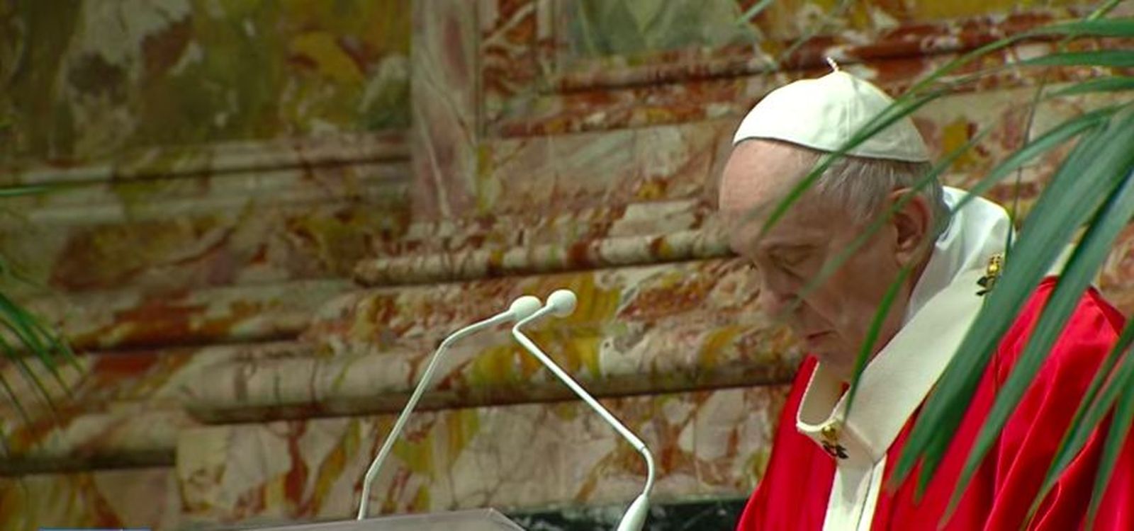 El Papa, durante la liturgia del Domingo de Ramos