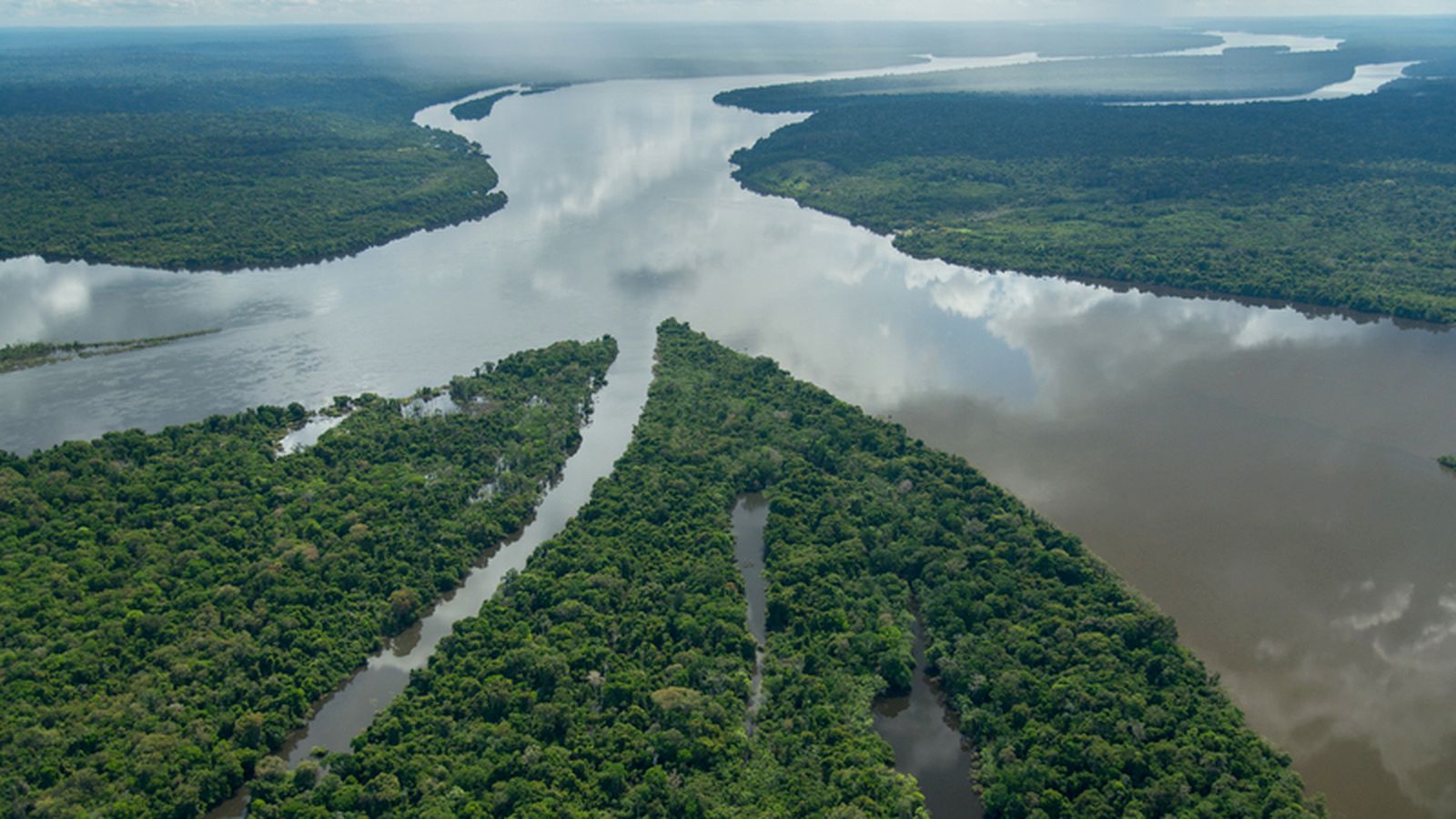 Amazonía