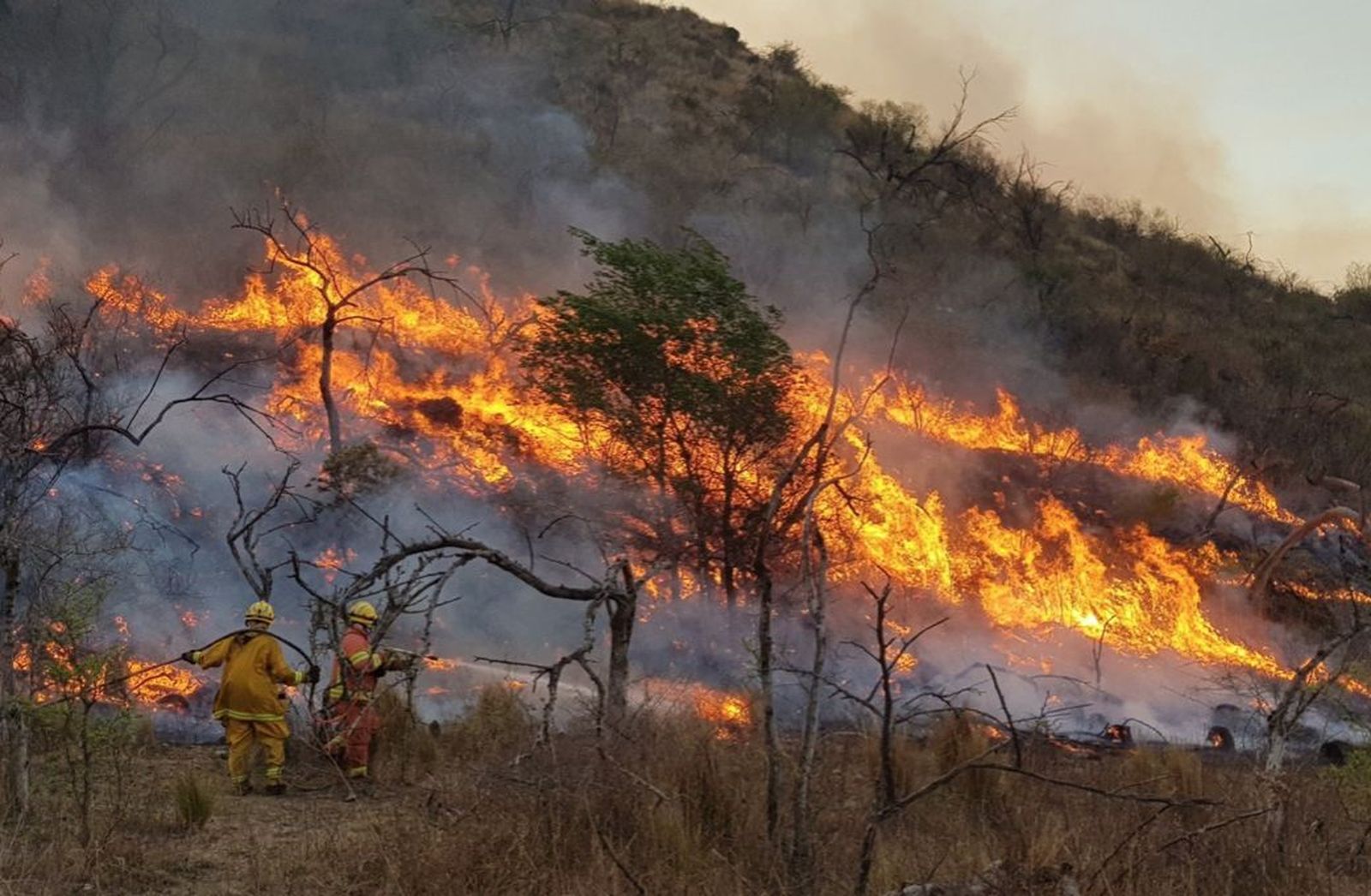 Incendios en Córdoba, Argentina