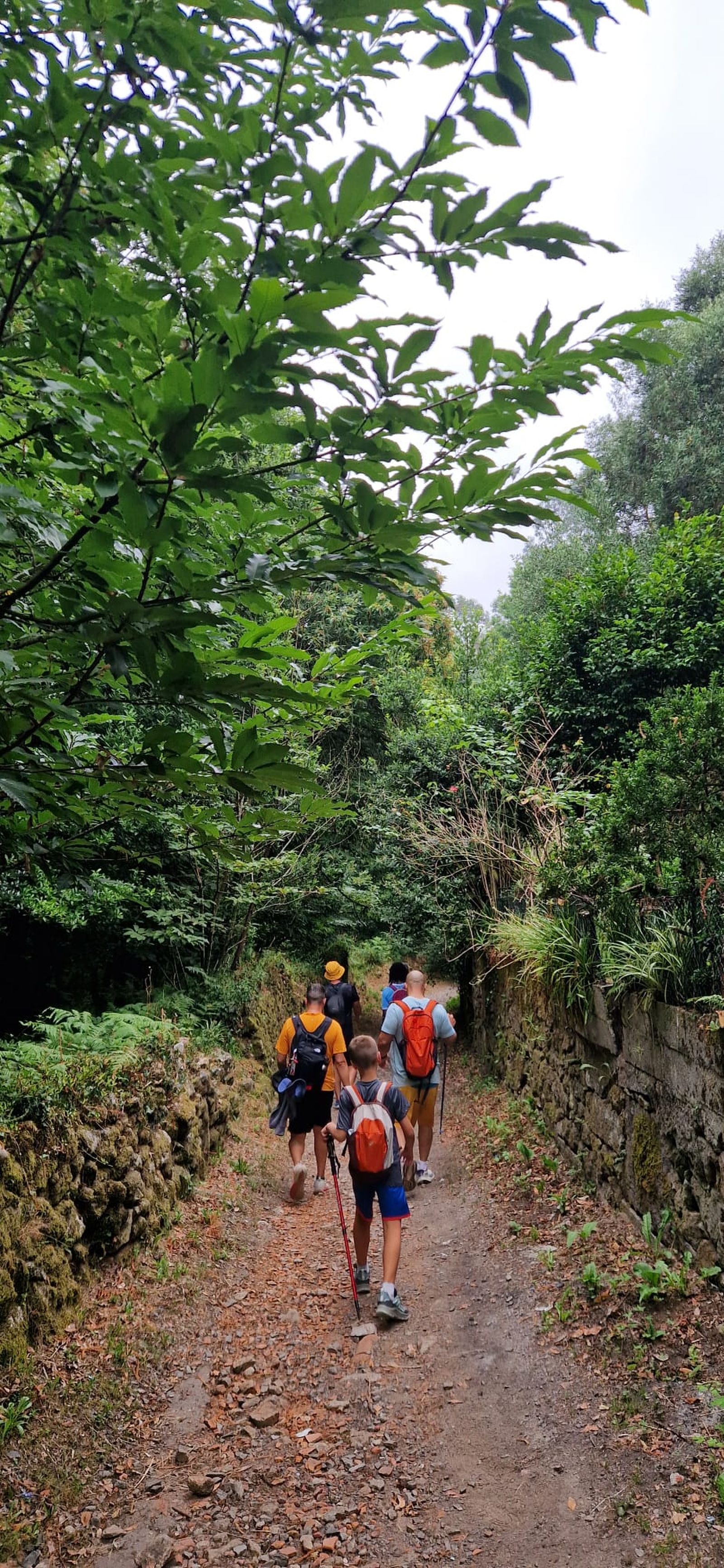 Camino de Santiago. Caminantes de Navalcarnero.