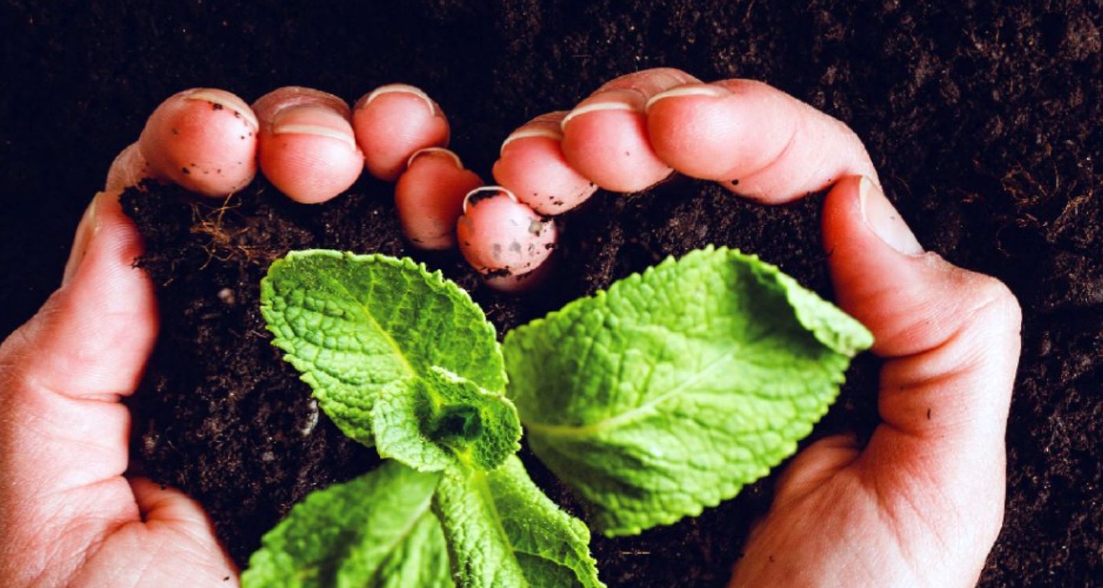 Congreso "Creación, persona y desarrollo sostenible desde la Laudato Si’"