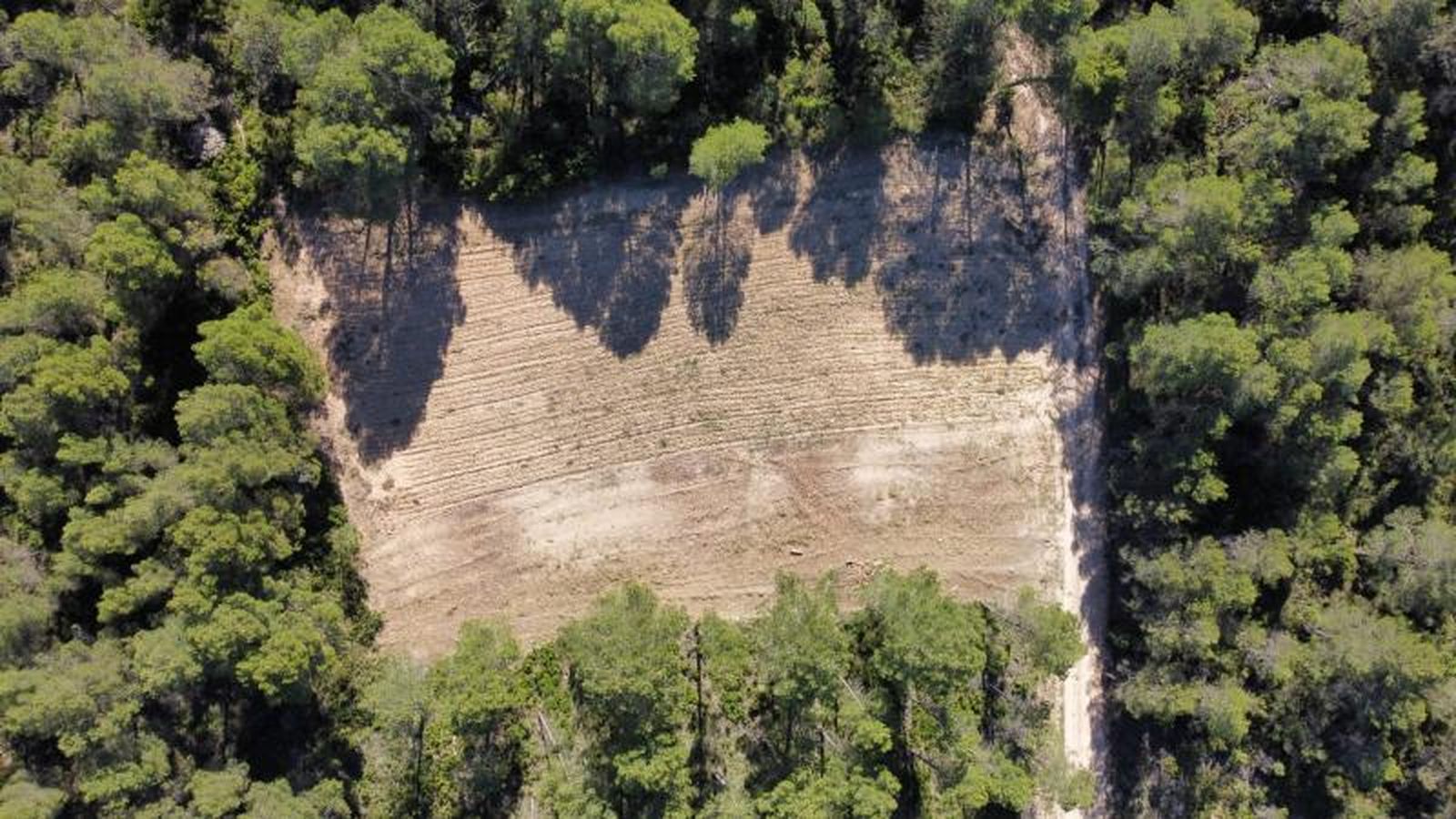 Bancal recuperado a vista de dron