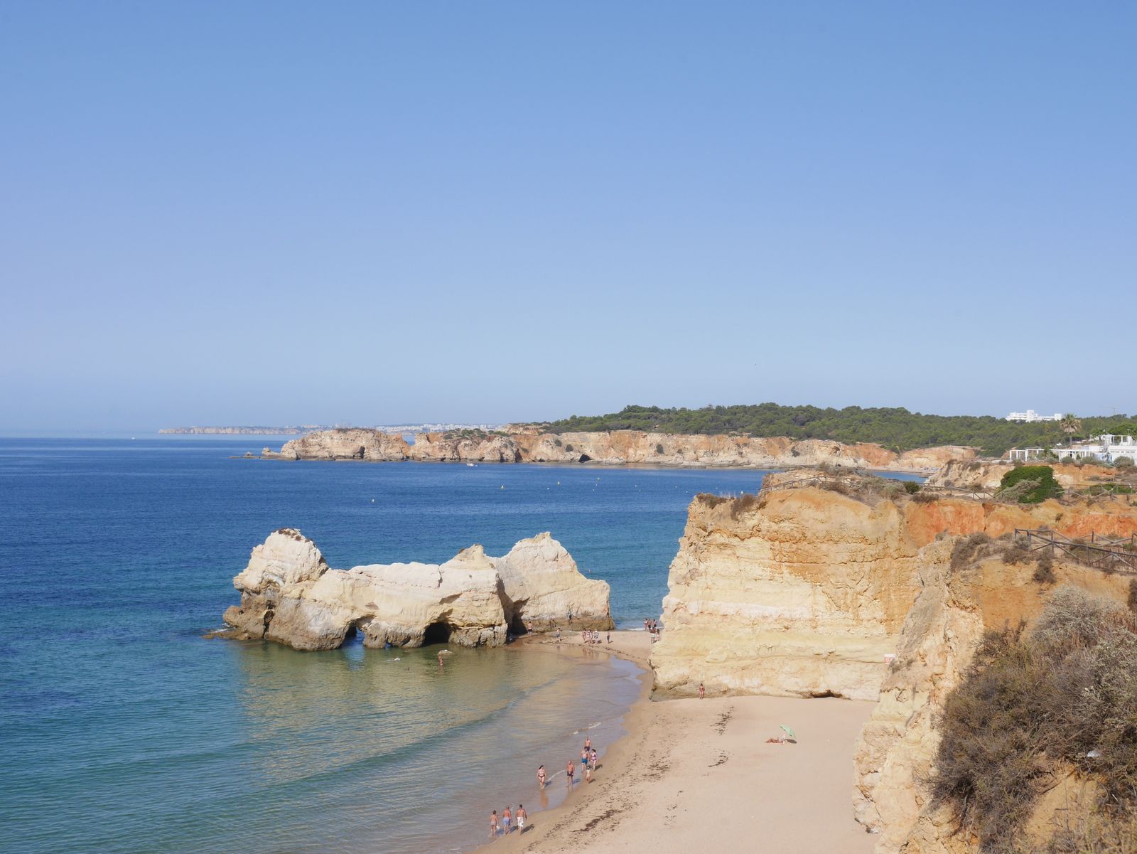 Mirando al mar: una meditación de agosto