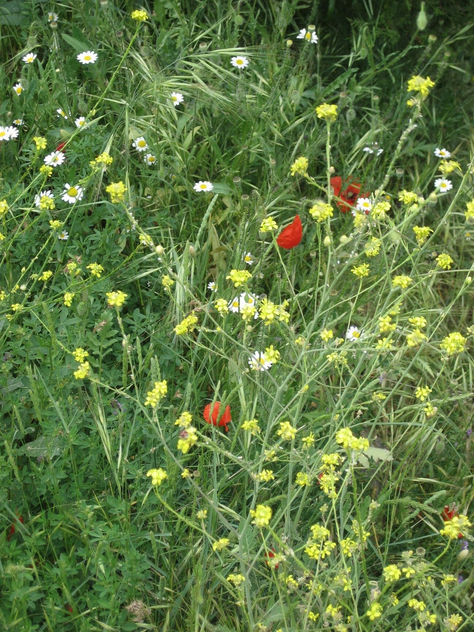 02 Año de oración: Amistad con  Dios