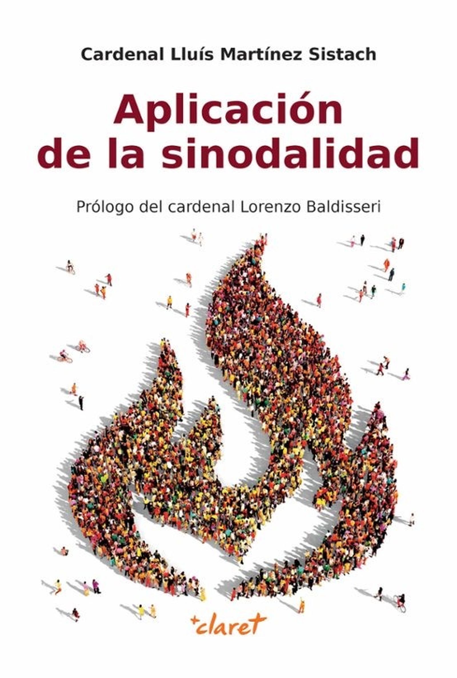 Aplicación de la sinodalidad