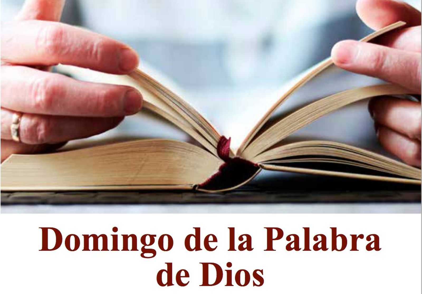 Verbo Divino se suma a la celebración del domingo de la Palabra