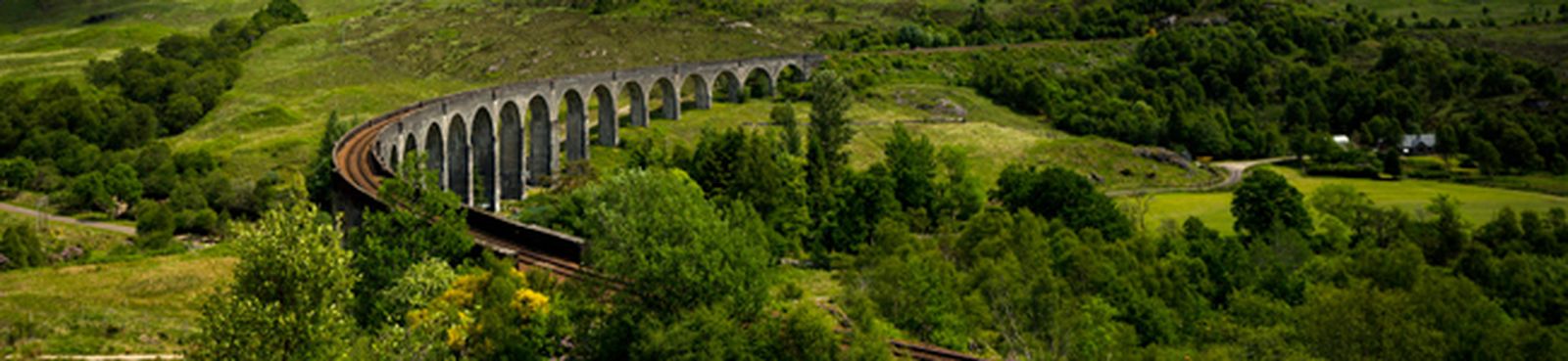 bach-milani-brandemburgo-1051