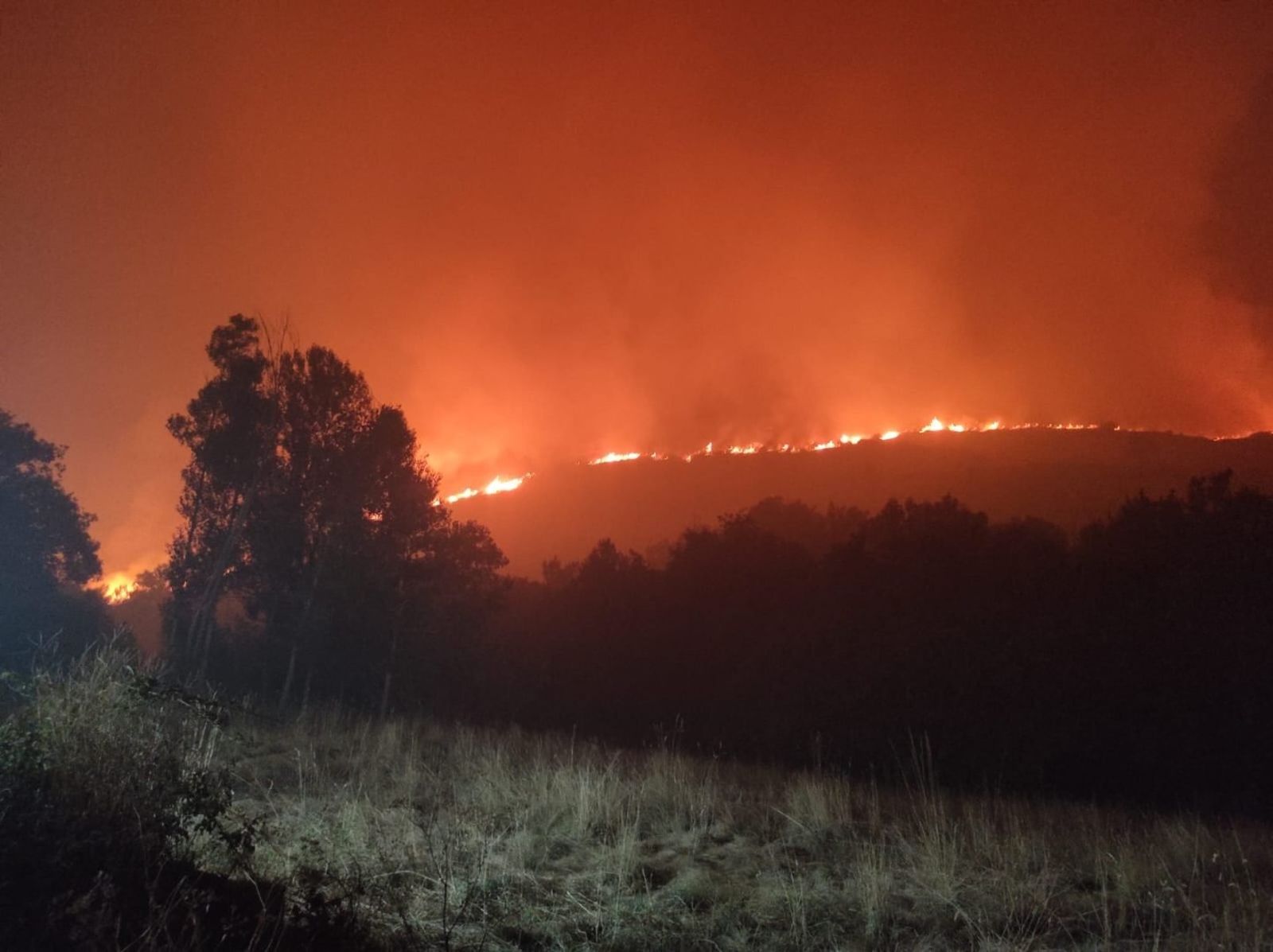 Incendios en El Bierzo