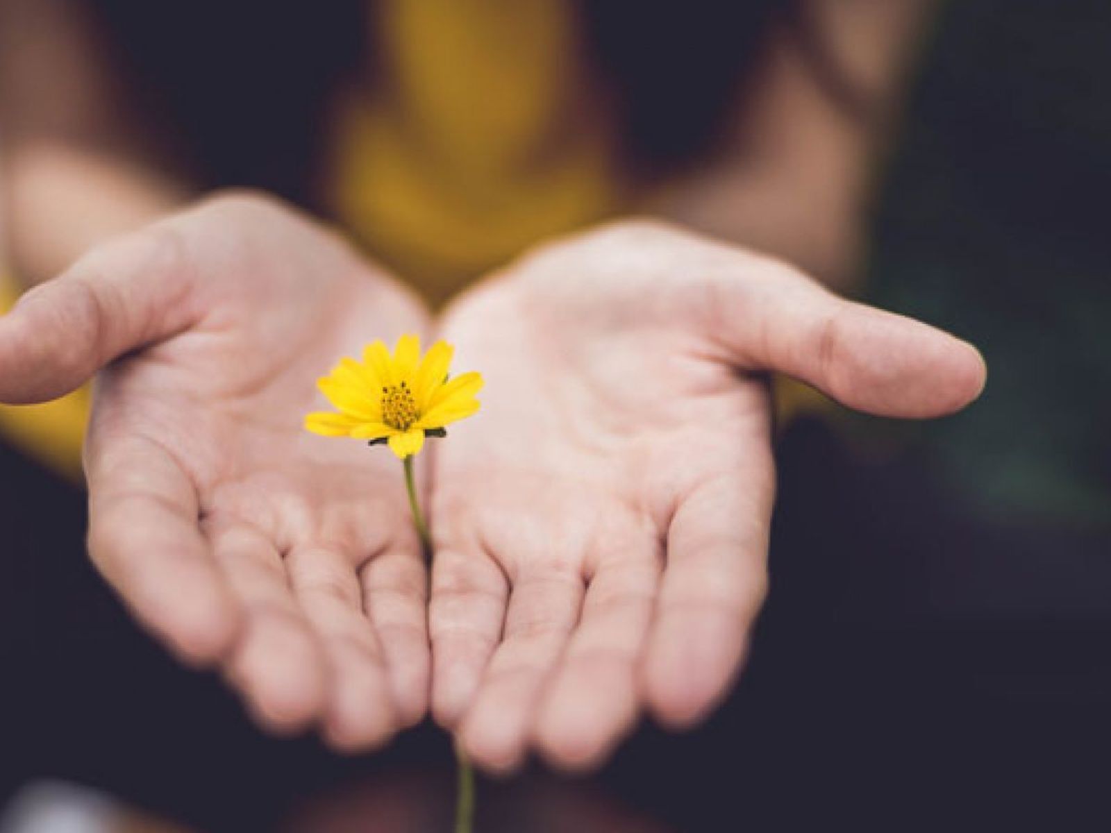 El perdón y la doctrina social de la Iglesia