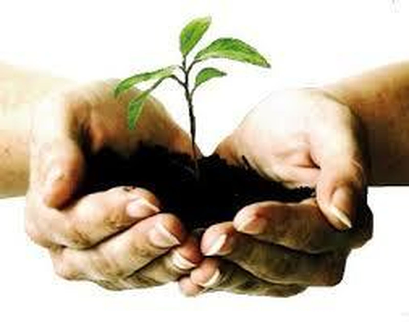 Hemos de cuidar el planeta