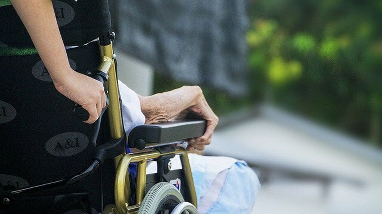 Cultura del acompañamiento