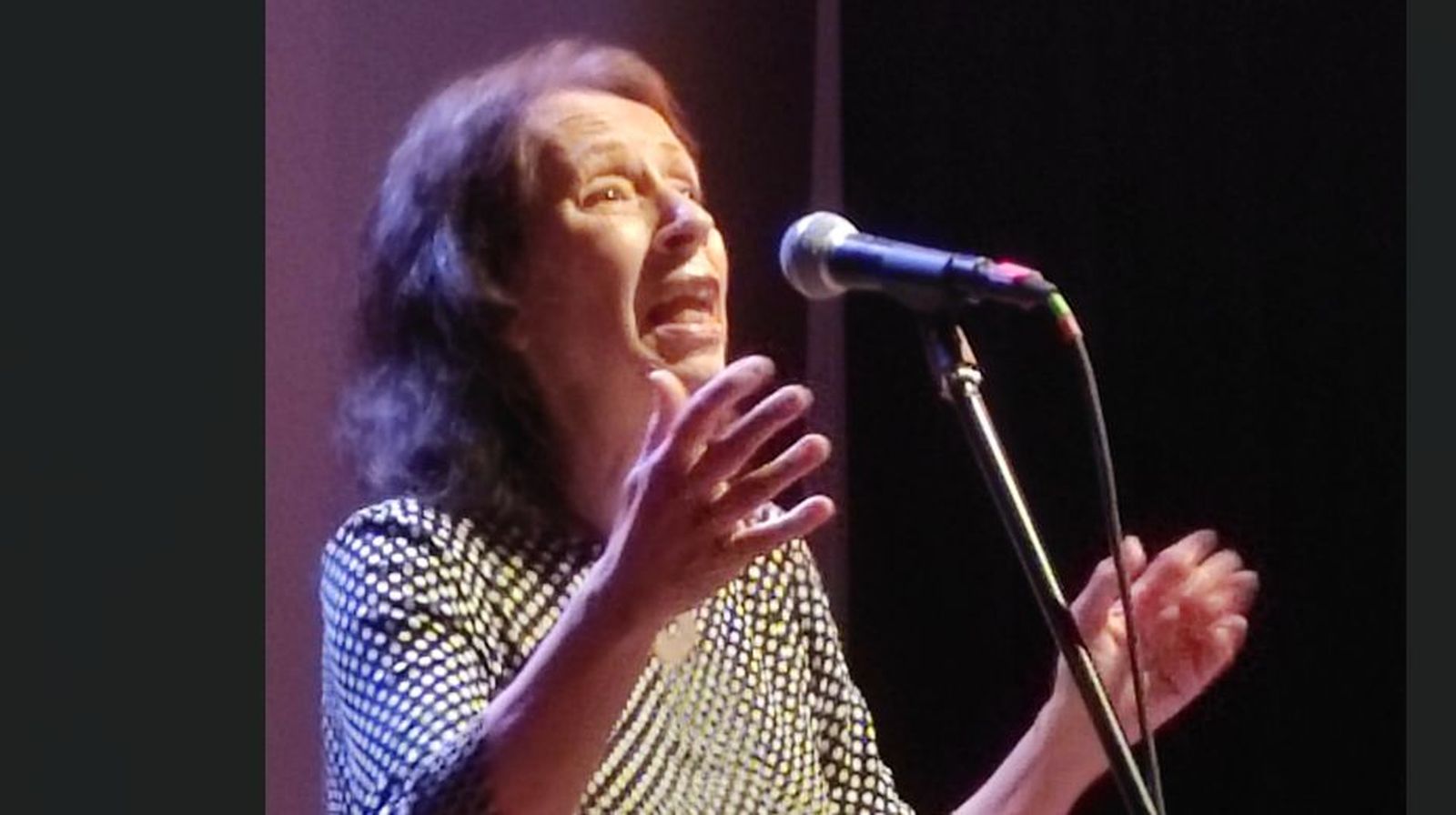 Cantante Isabel Aldunate