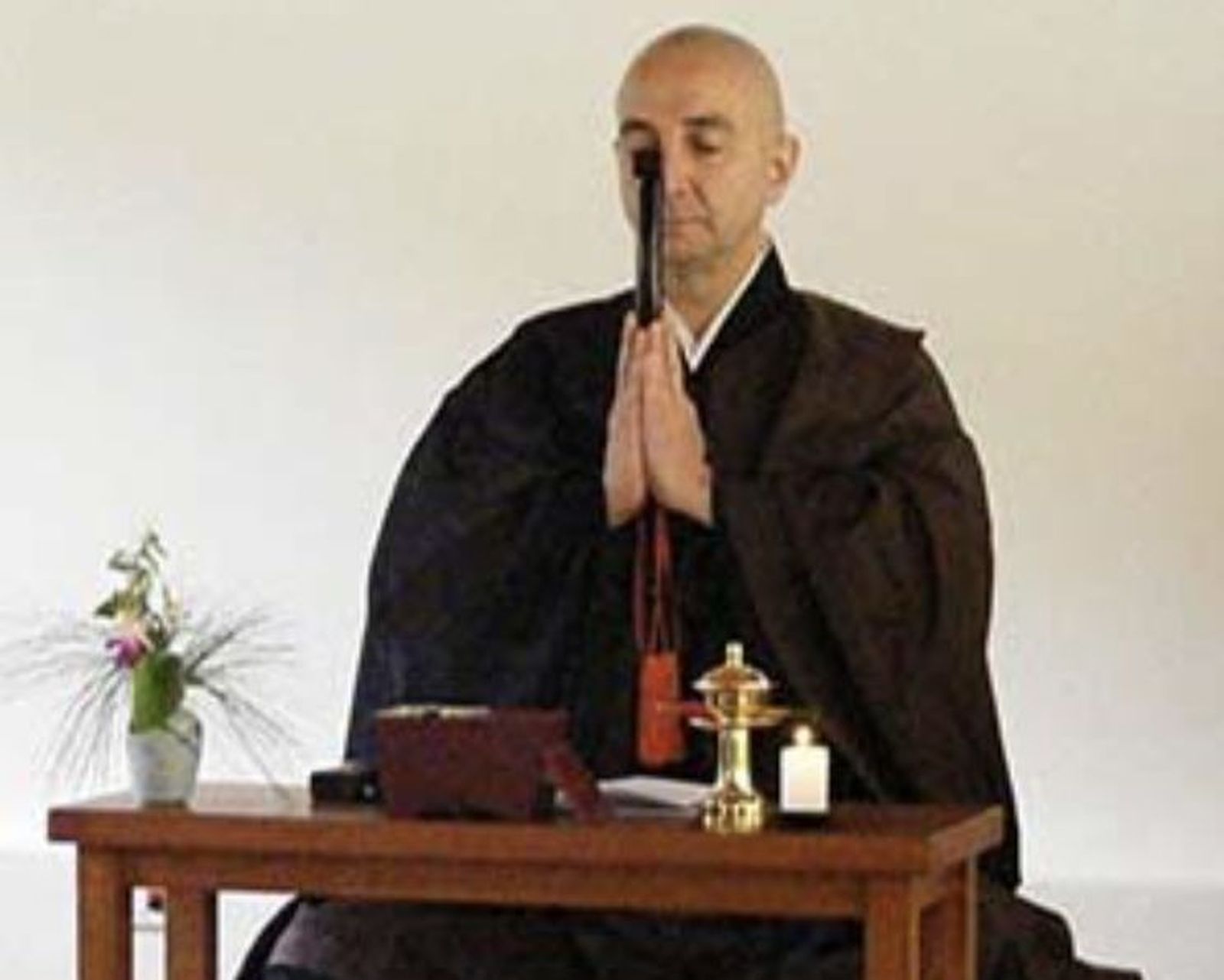 Maestro zen Colombia