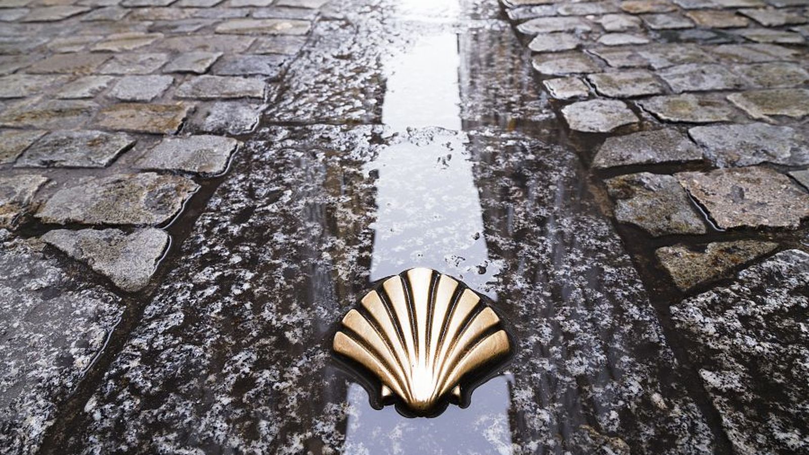 Año santo de Santiago