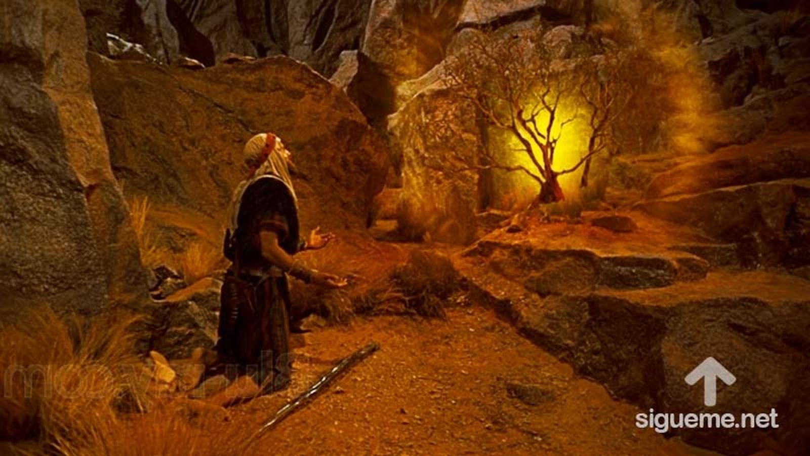 la-zarza-ardiente-de-moises