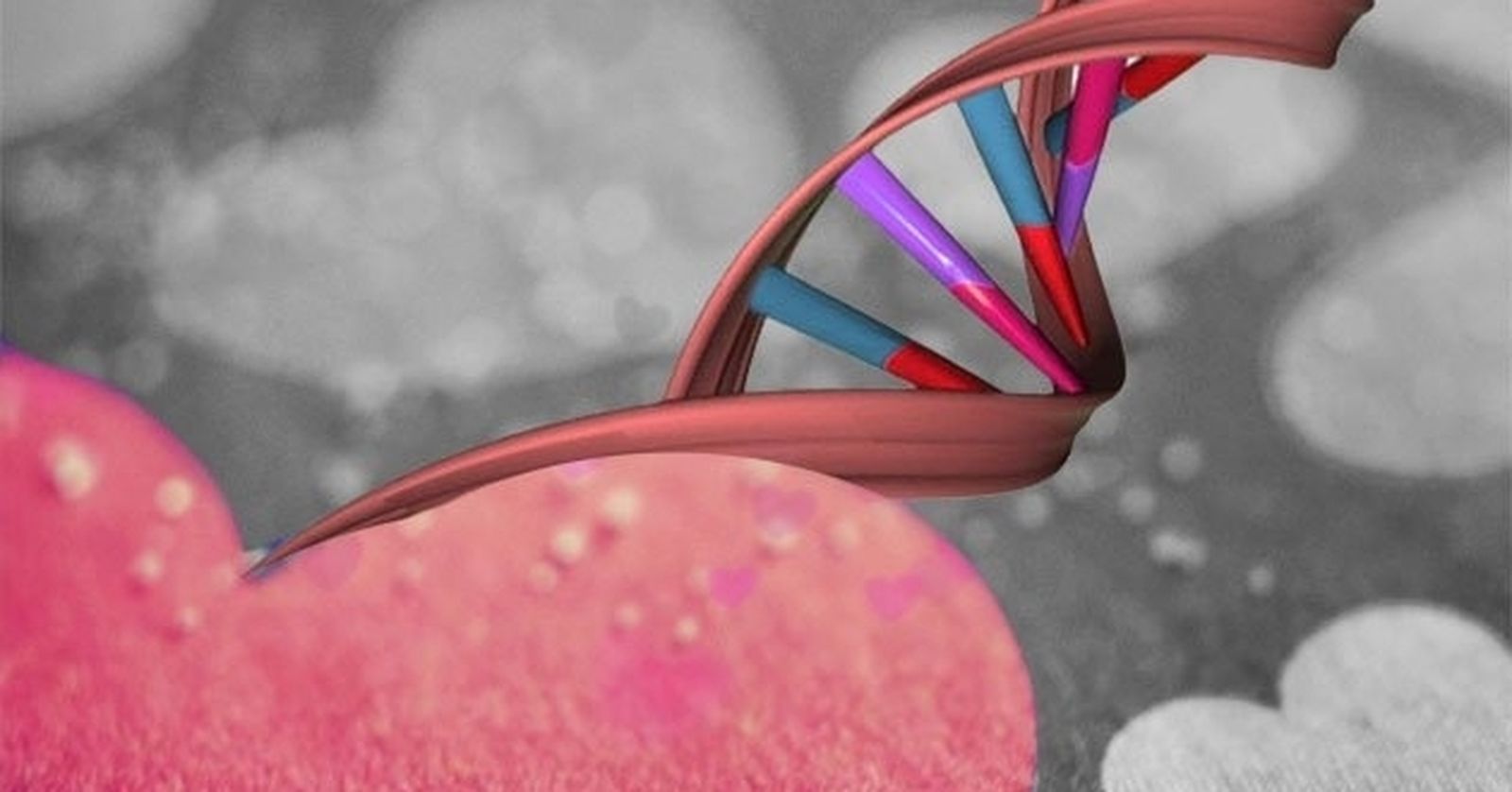 El amor forma parte del ADN del ser humano