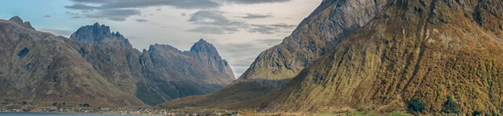 bach-ilja-coral-bwv661