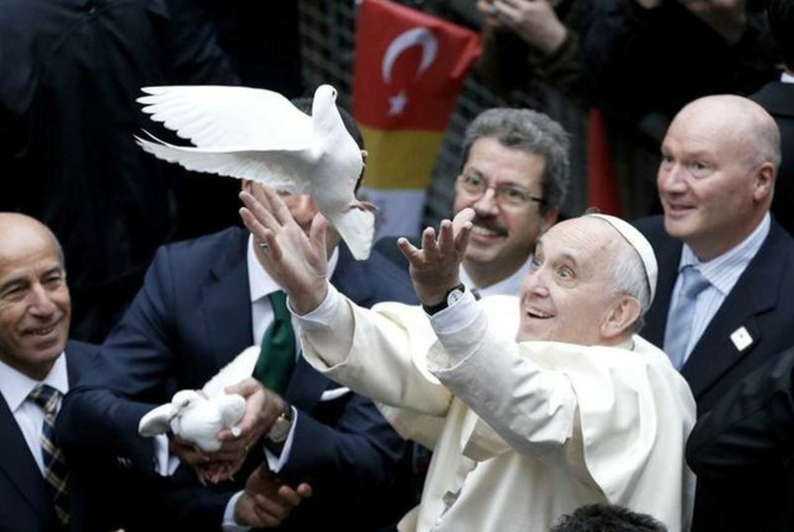 paloma vaticano