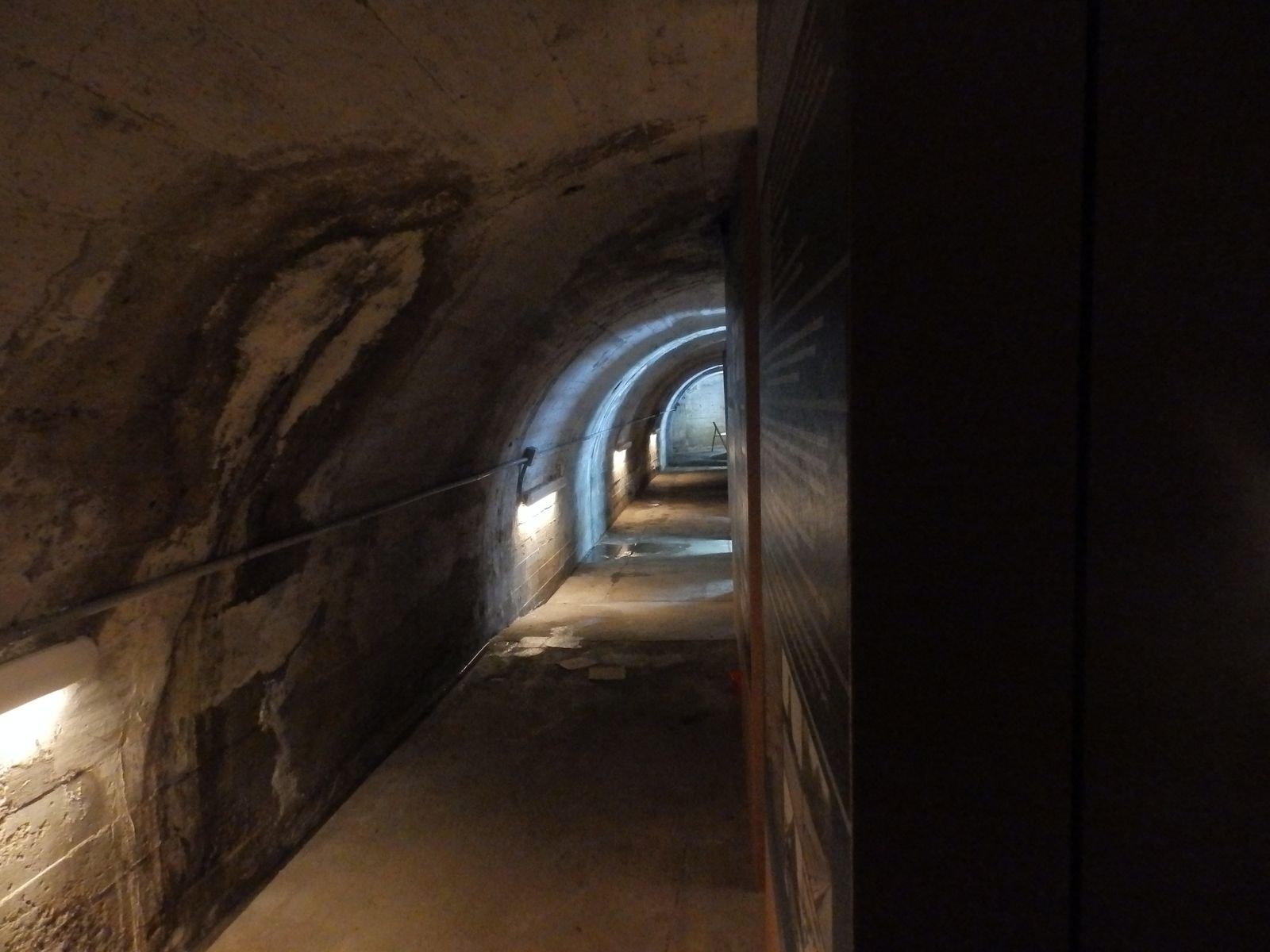 Eduardo de Ocampo: “los jóvenes que pasen por la exposición saldrán sabiendo qué es y qué significó Auswichtz.”