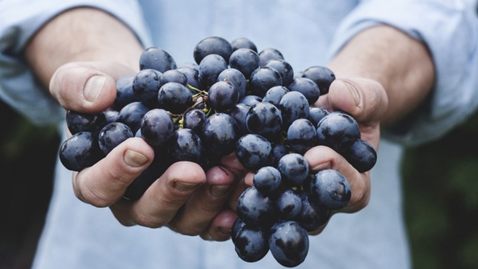Frutos