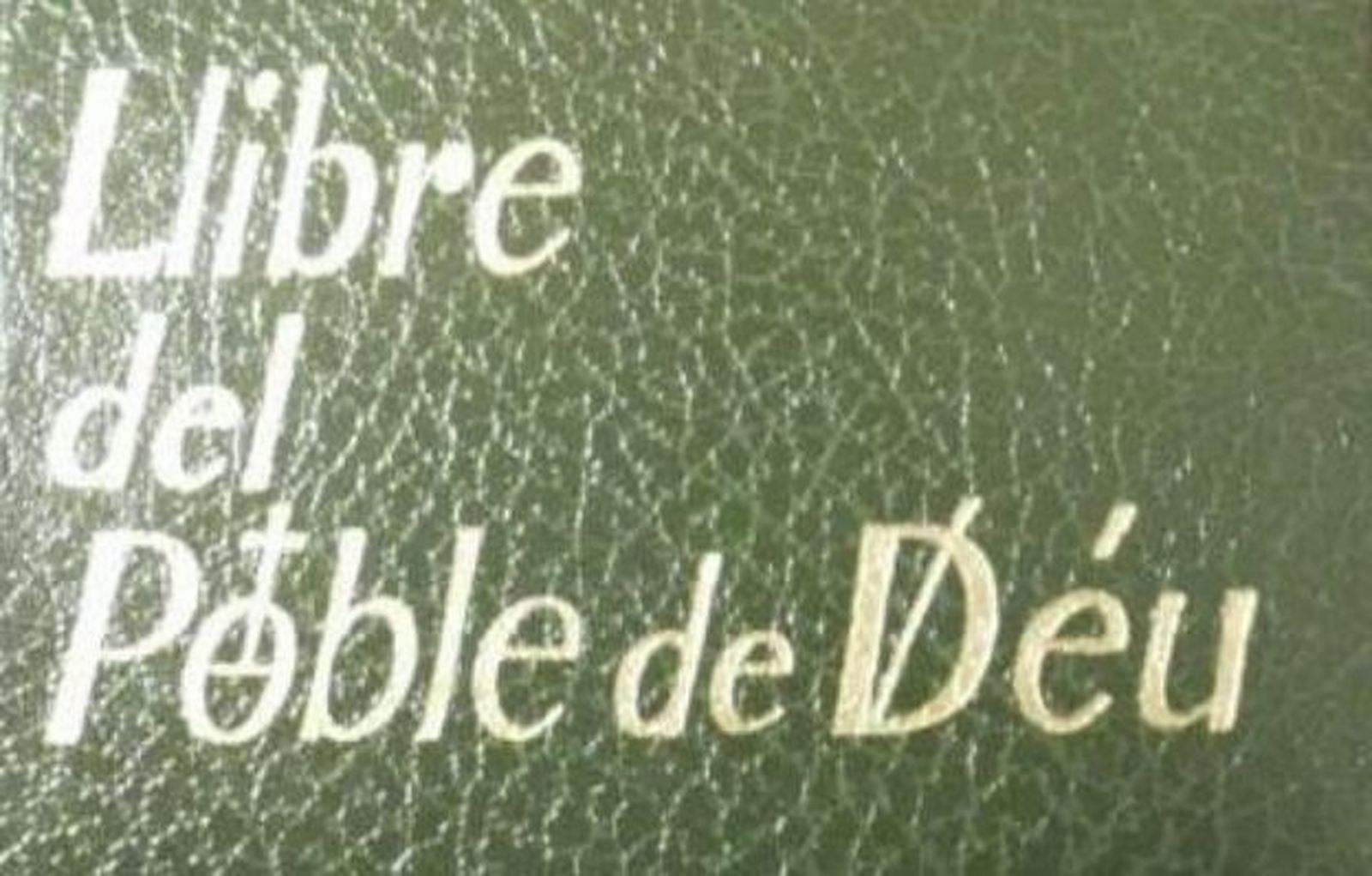 "El valenciano: una realidad en la vida social y eclesial"