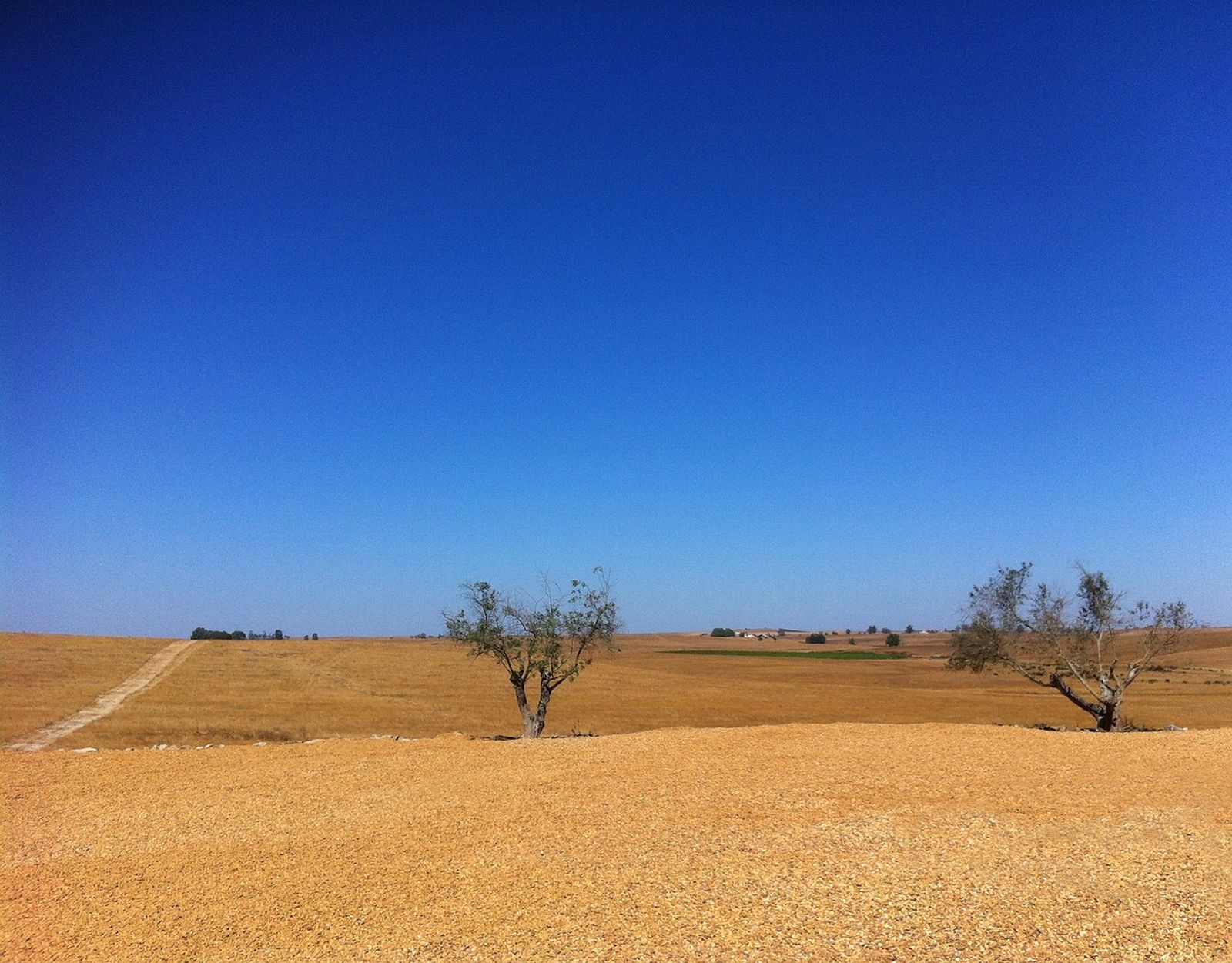 CUANDO LOS DESIERTOS CRECEN…, “AGUA DEL COSTADO DE CRISTO LÁVAME”