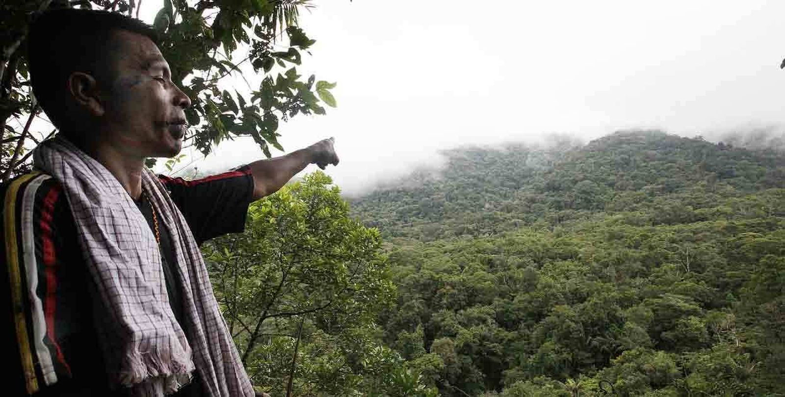 Cerro Careperro, lugar sagrado indígena / Foto: Environmental Justice Atlas