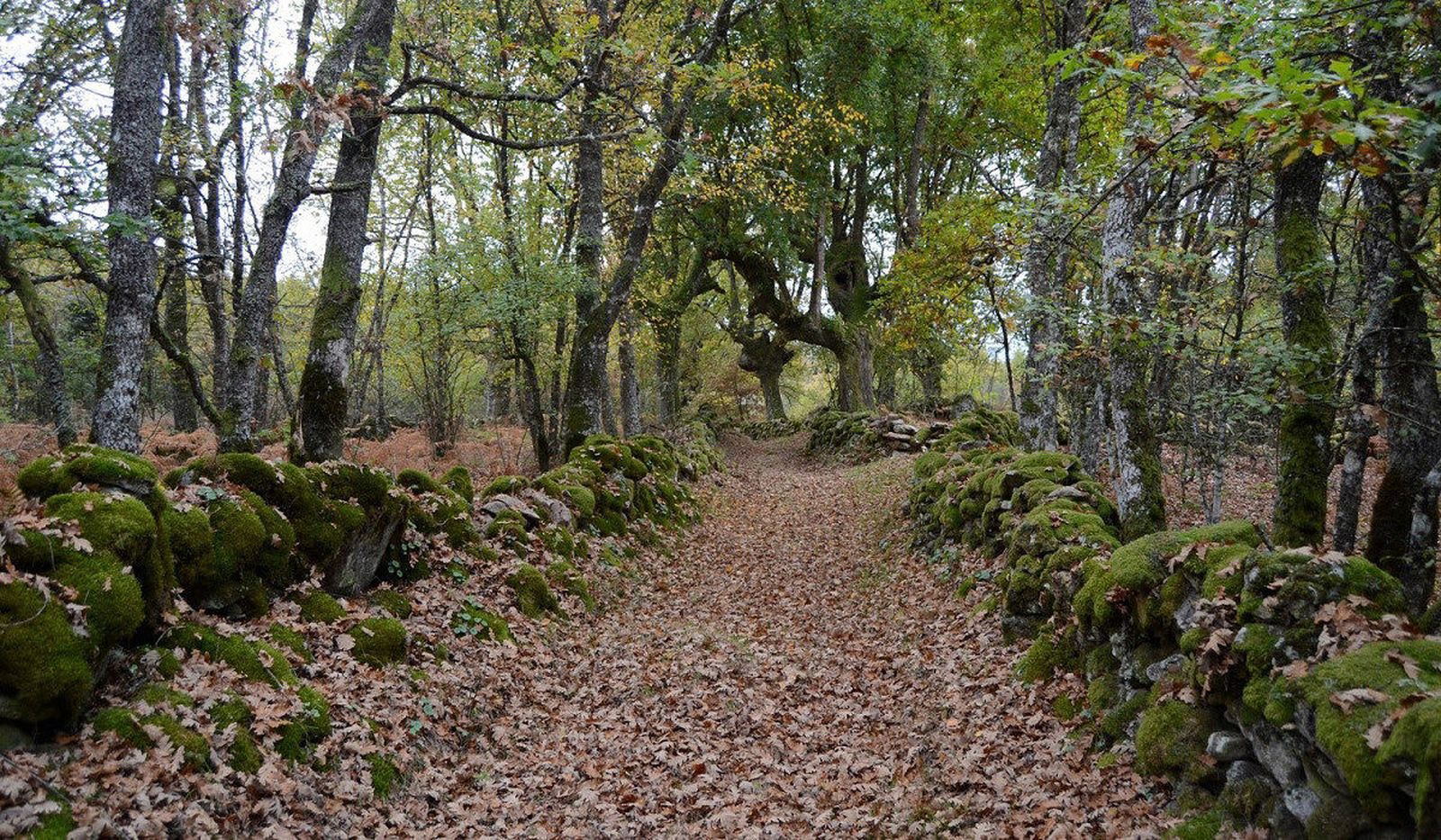 Vilar de Santos. Ourense