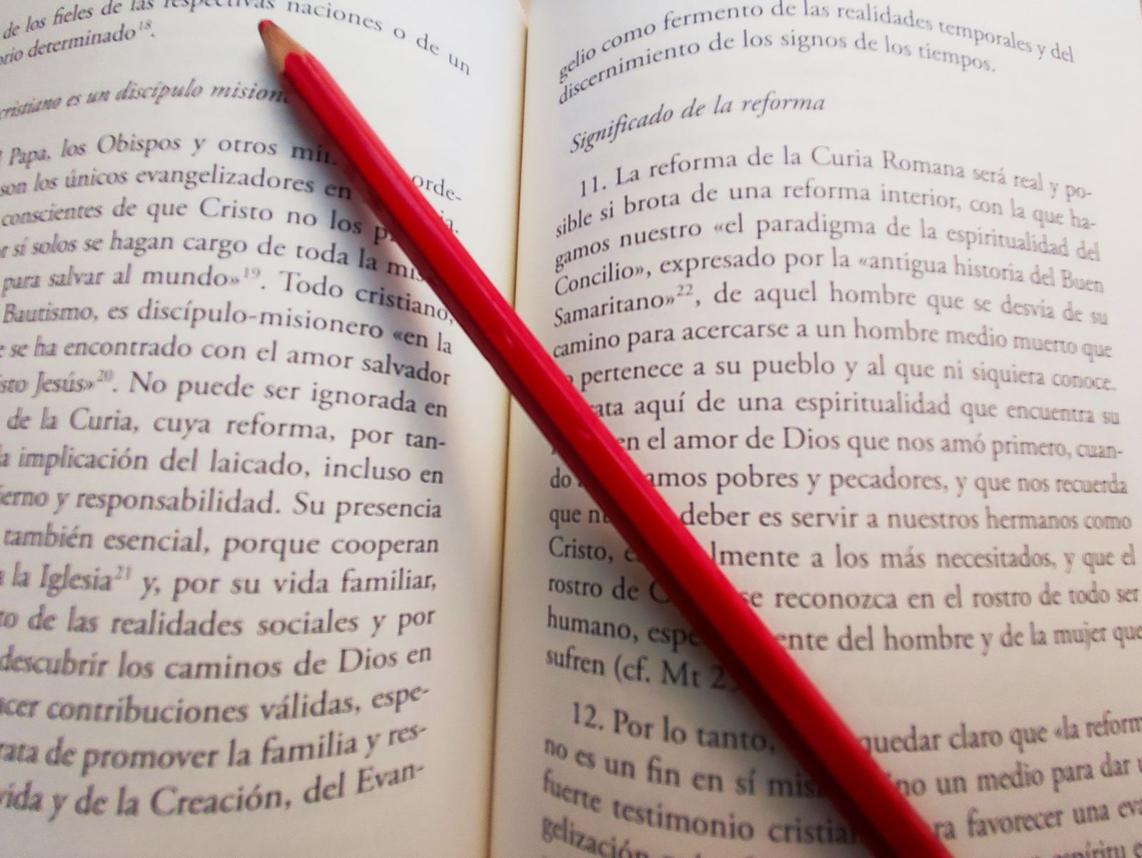 El libro de cabecera del consistorio extraordinario