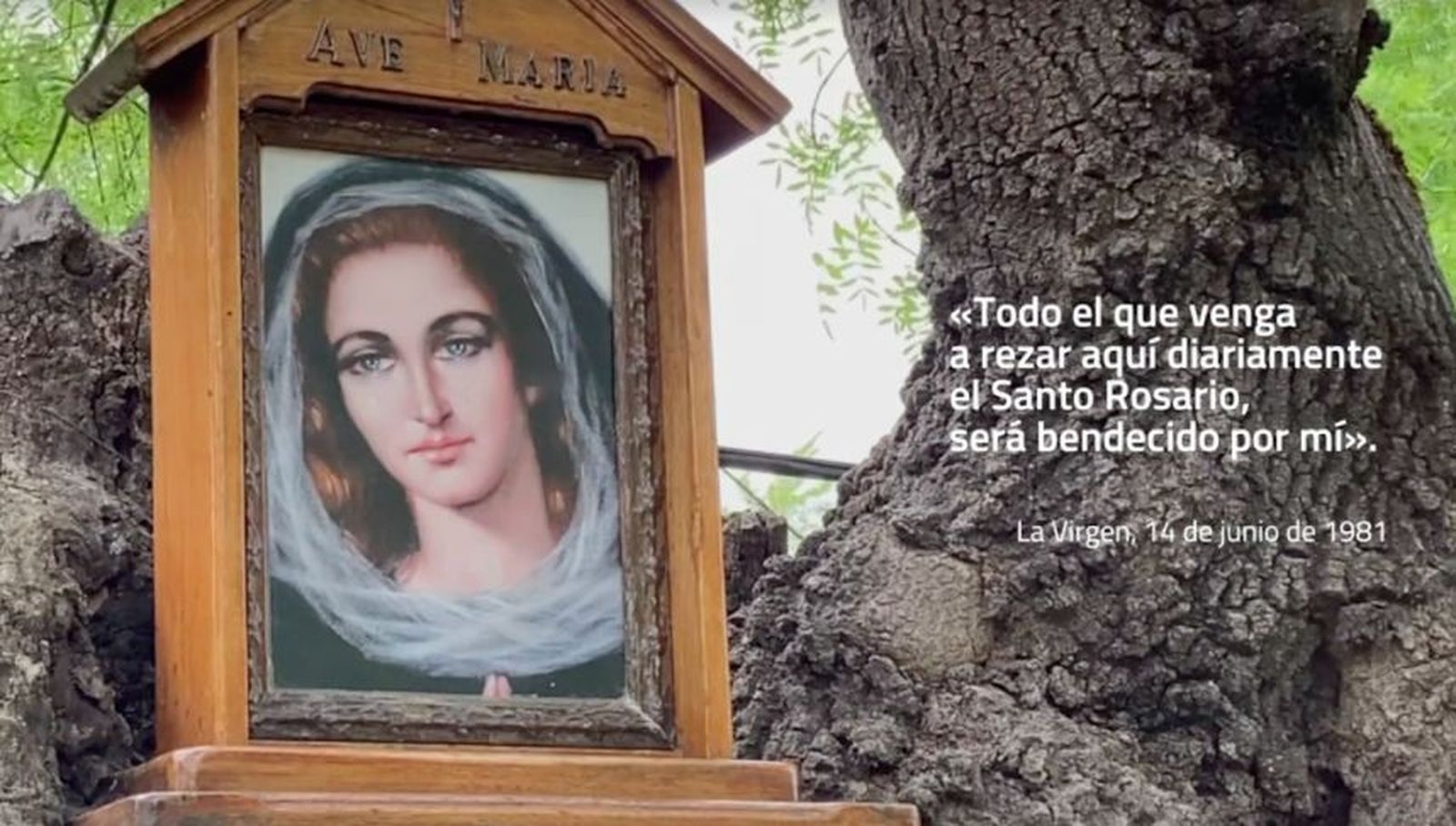 La historia de Prado Nuevo es la historia del Rosario en la España reciente