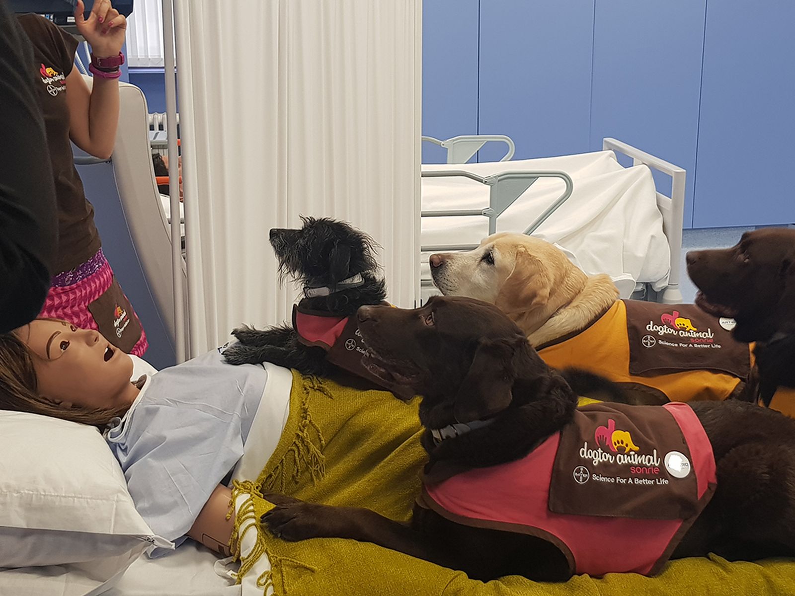 Beneficios terapéuticos de intervención asistida con animale