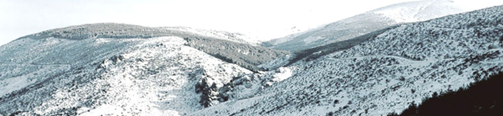 bach-busoni-chaconne