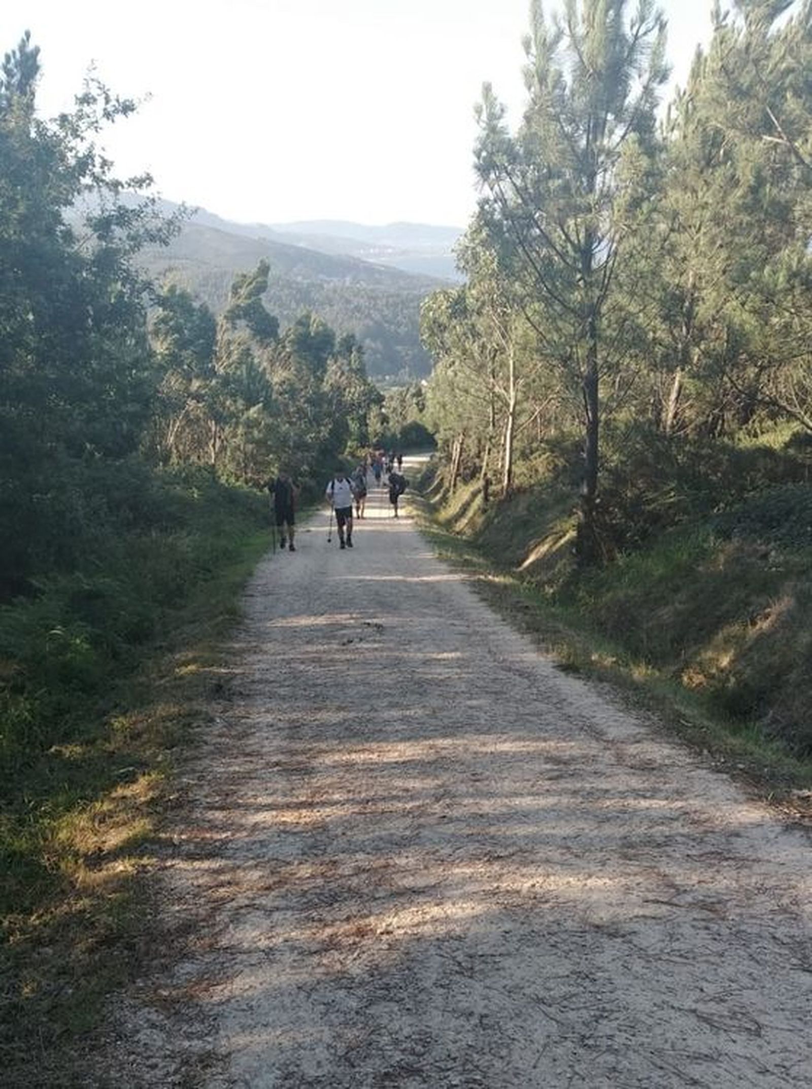 Paregrinso Navalcarnero