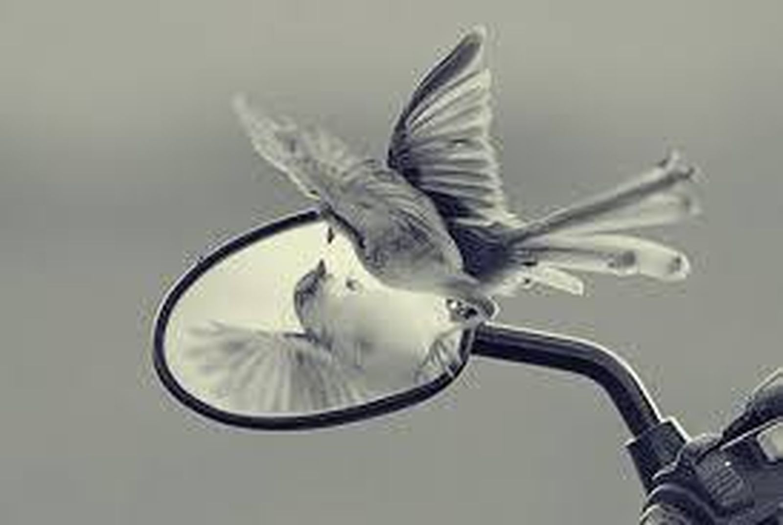 No digas nunca "no"; dí "más"