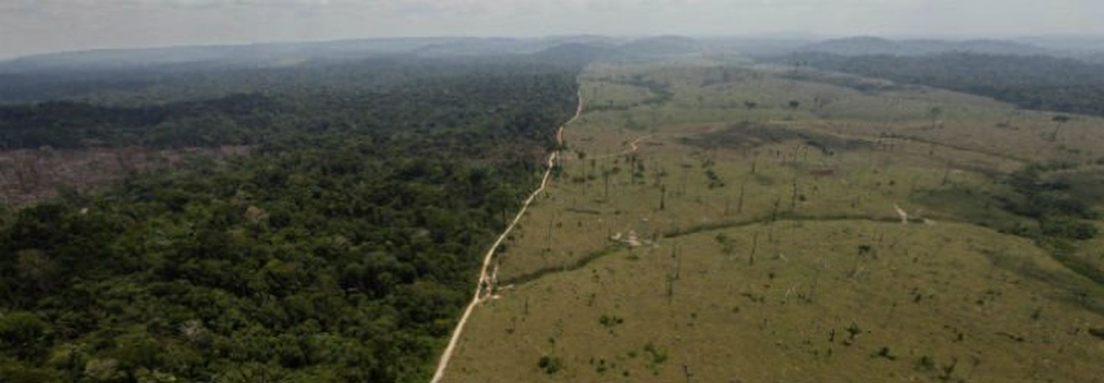 La brutal deforestación de la Amazonía
