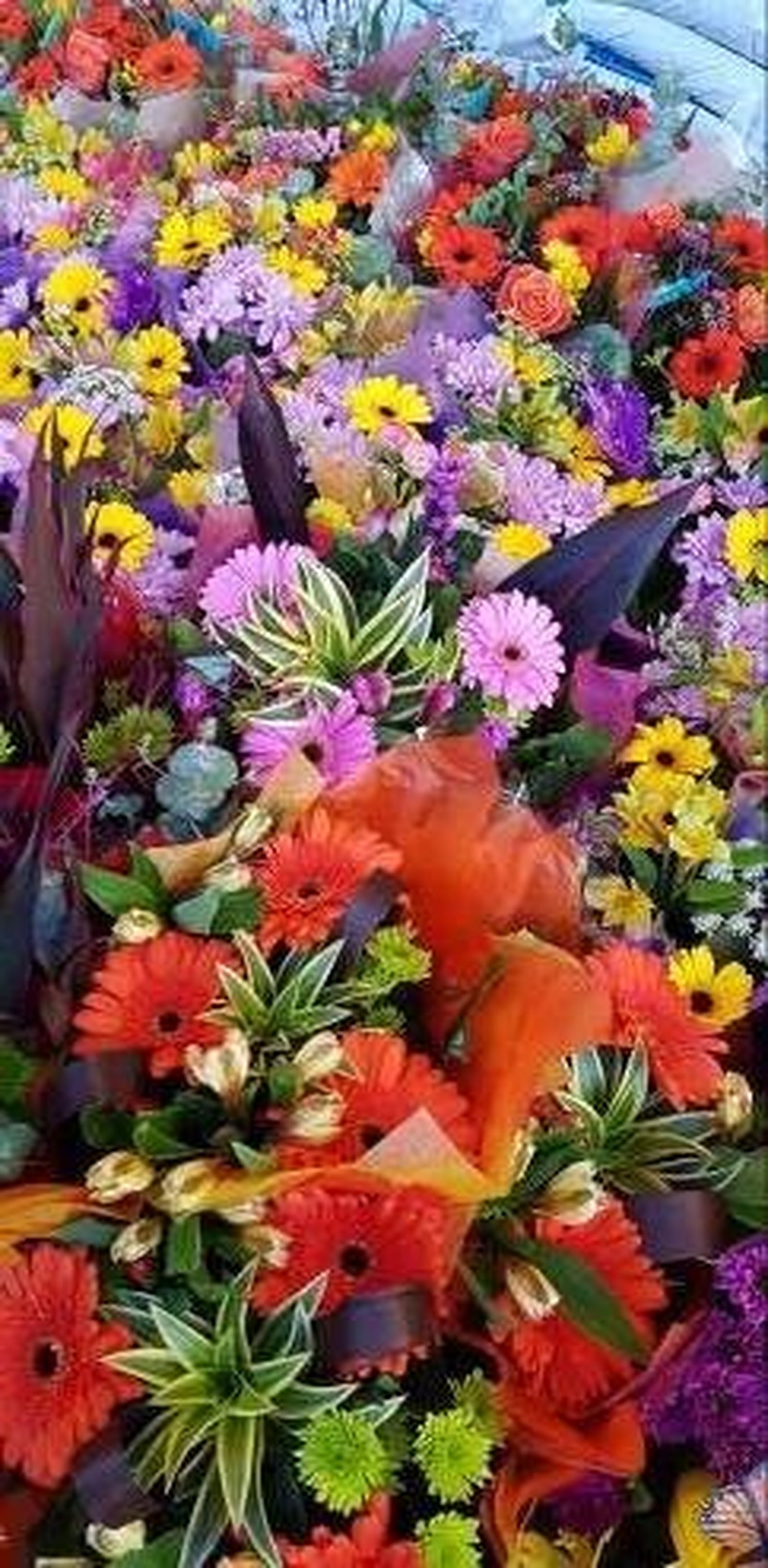 Vigilia de Pentecostés