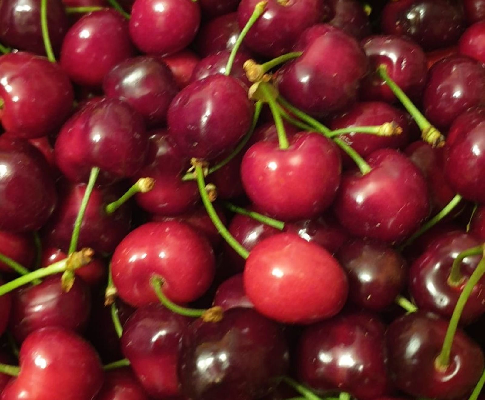 cerezas