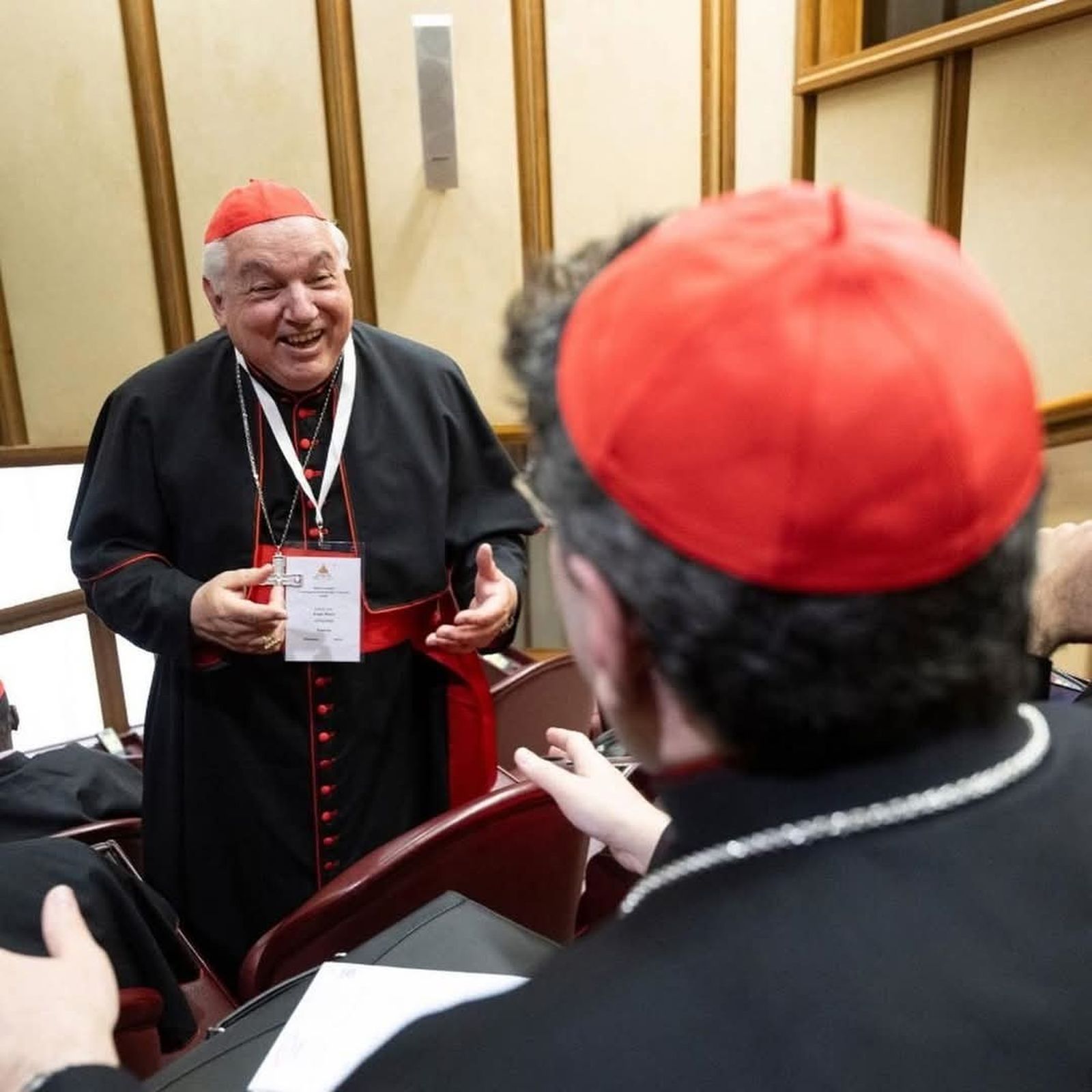 cardenal Aveline de Marsella