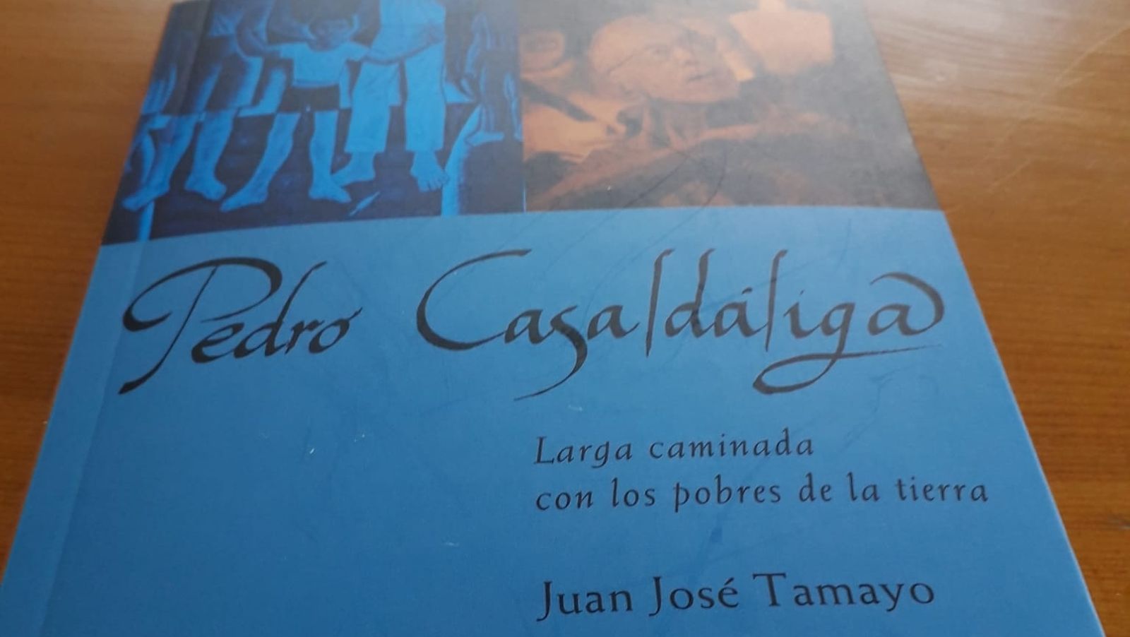 Tamayo sobre Casaldaliga