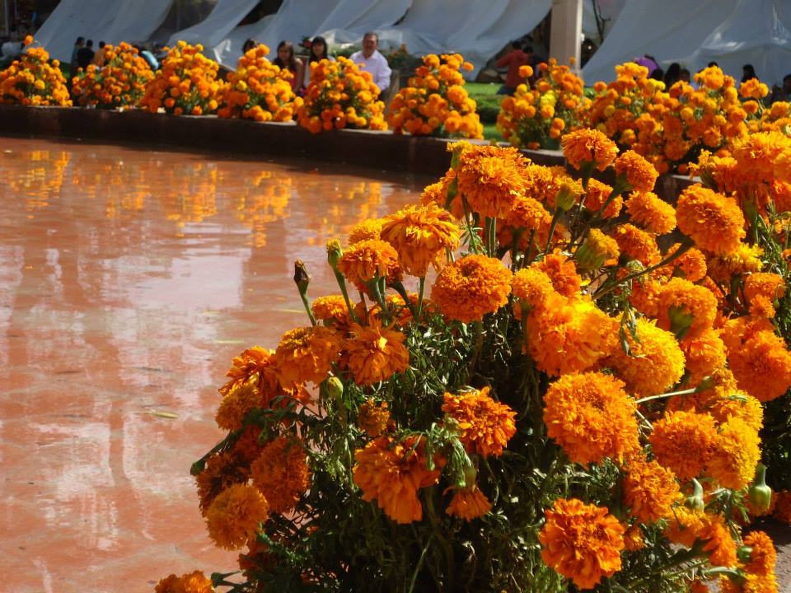 Ofrenda a Tata Vasco