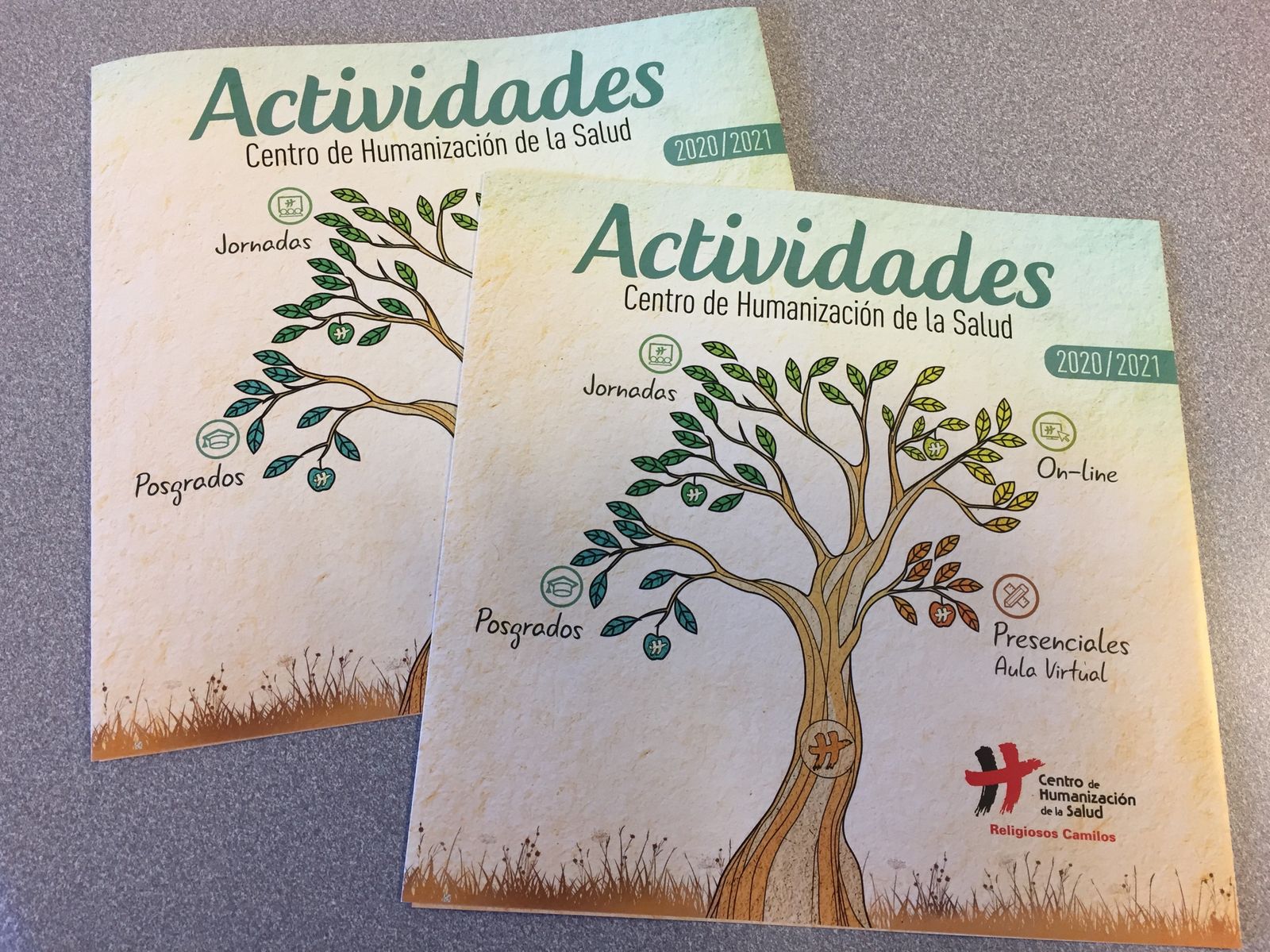 Actividades del Centro de Humanización para la Salud