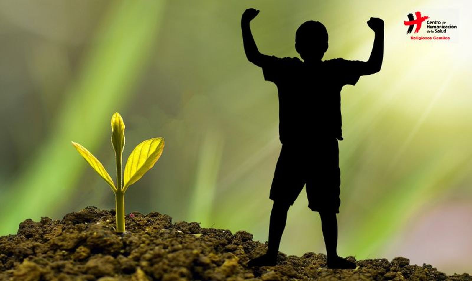 Estudio sobre experiencias de superación exitosa del abuso sexual en menores